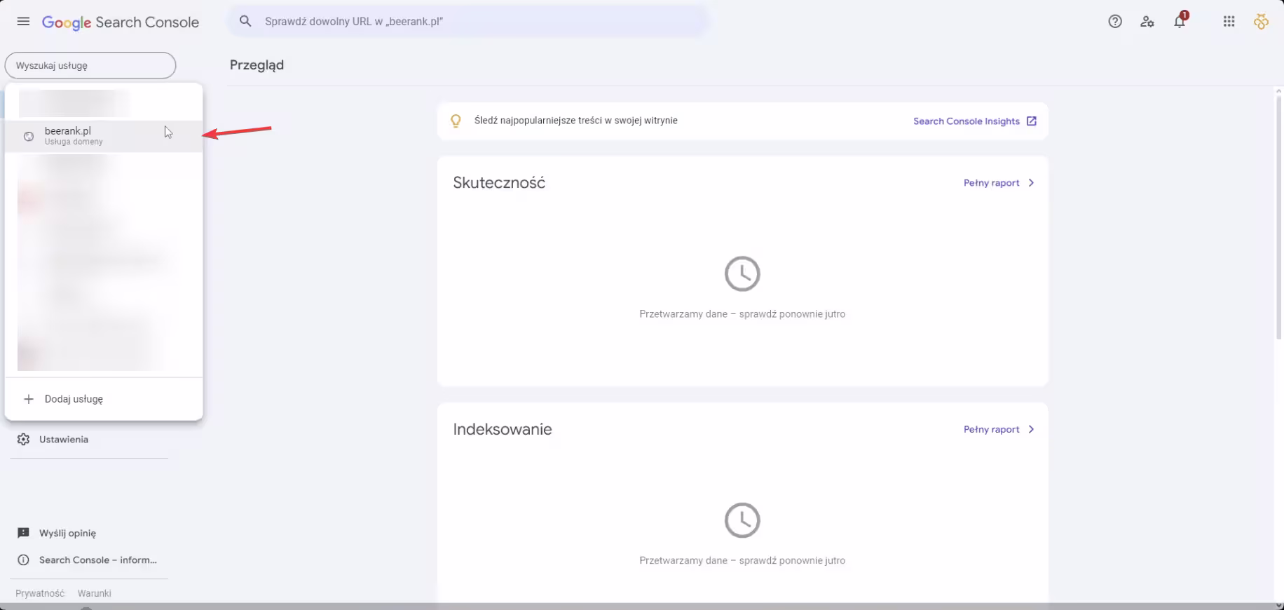 1 google search console - wybór konta