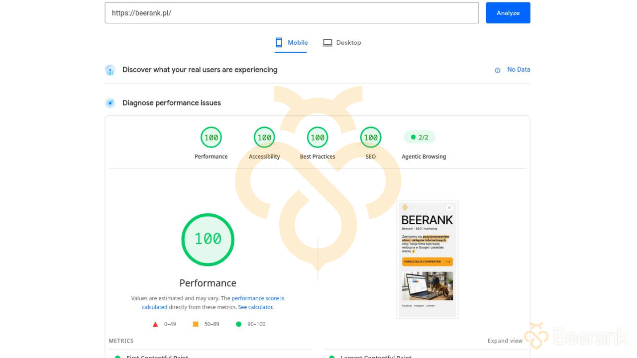 beerank-page-speed